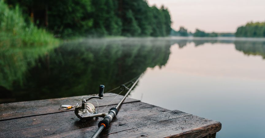  A look at 2 NZX fishing stocks amid deteriorating marine environment 