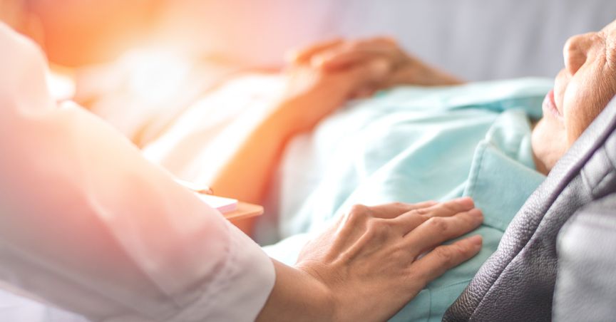  Which are top 5 NZX healthcare stocks in 2021? 