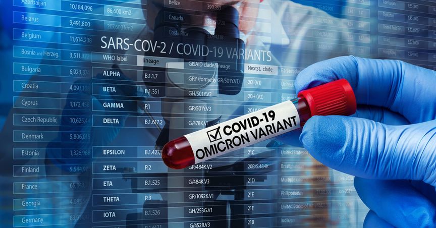  New Covid checks: UK govt works on Plan B to control Omicron variant 