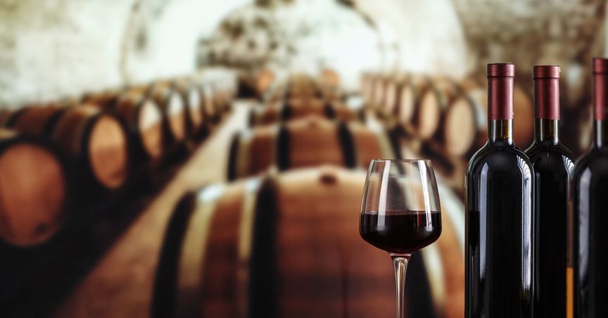  Which are 2 prominent NZX wine stocks to explore before 2022? 