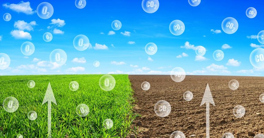 WA Government releases 3M hectares of land to boost carbon farming