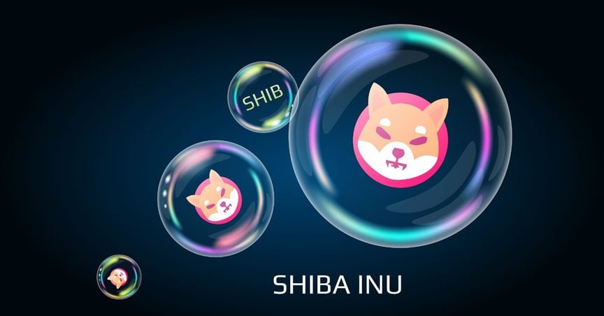  Will Shiba Inu bubble burst in 2022? 