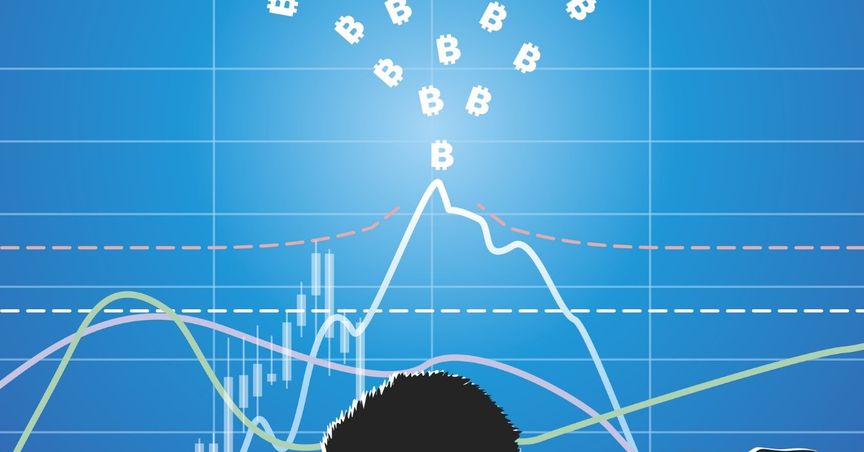  How is BetaShares Crypto ETF (ASX:CRYP) performing? 
