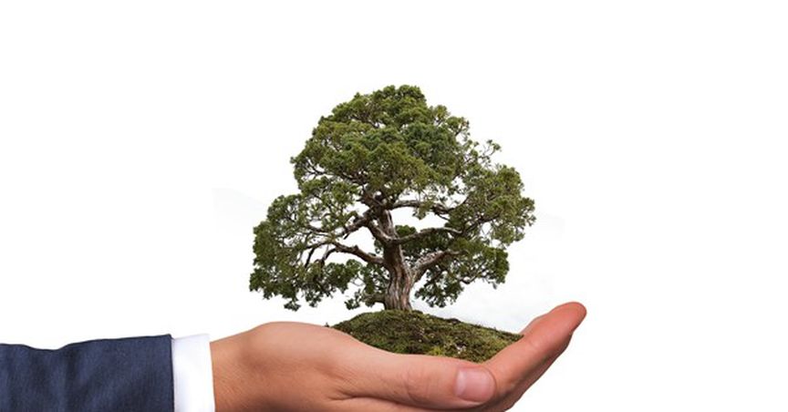 How to make your organisation eco-friendly?