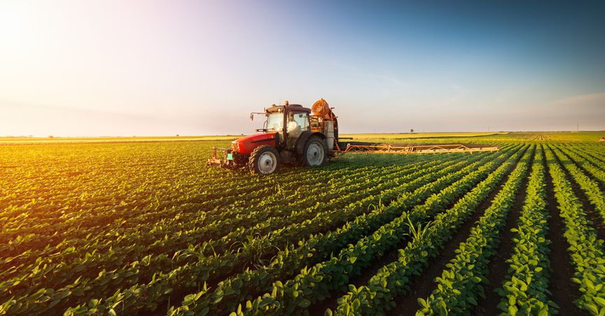  Which 3 NZX agriculture stocks have a decent one-year yield? 