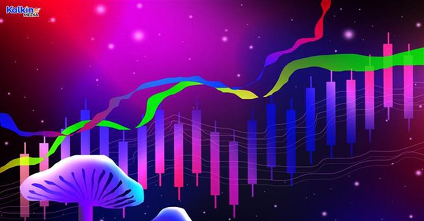  Numinus (TSX:NUMI): A psychedelic stock to explore amid 'shroom boom'? 