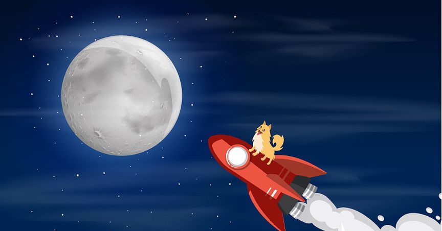  Has Dogecoin’s bulls outlasted bears' challenge? 