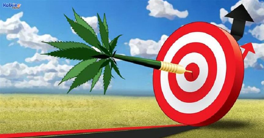  Canopy Growth (WEED) stock fell 72% in a year: Is it a cheap buy? 
