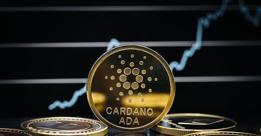 What led to Cardano’s price rise during weekend? 