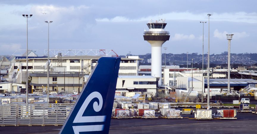  Auckland International (NZX:AIA): How would it perform in its interim results? 