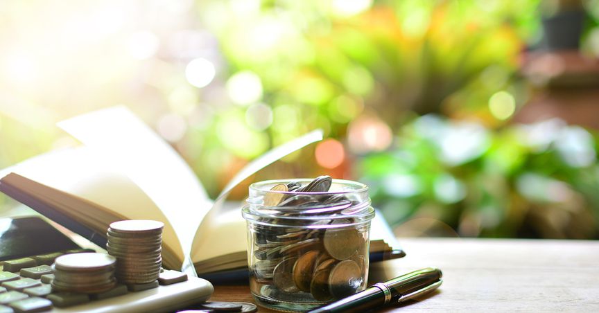  Would 4 NZX penny stocks prove to be multibaggers this year? 