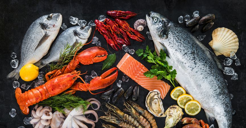  Which are 4 popular NZX food stocks to consider in 2022? 