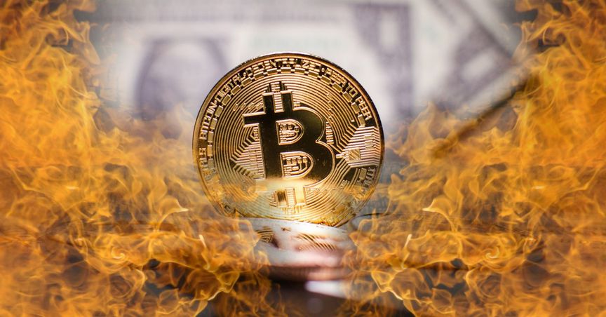 buy back and burn crypto