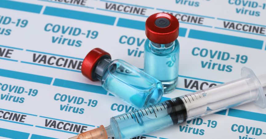  Can anti-vax protests impact Canadian economy? 