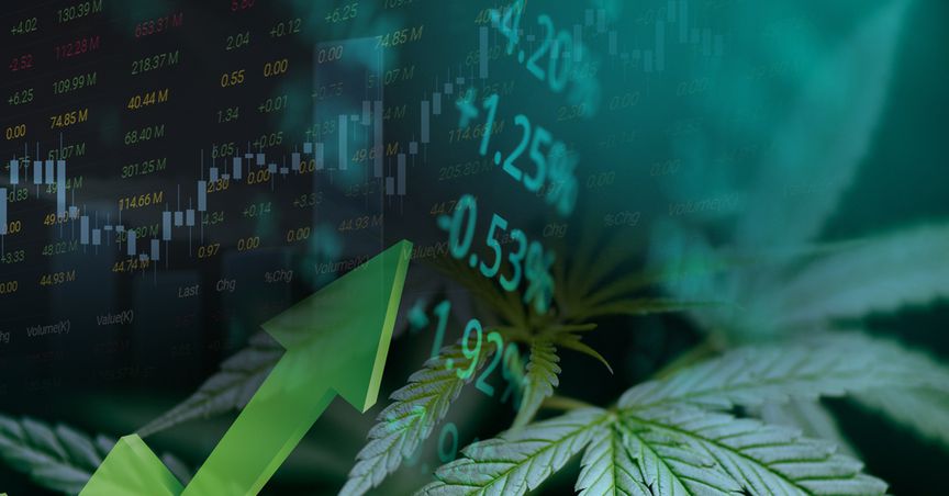  Kanabo, Chill Brands and Cellular Goods: 3 cannabis stocks to buy 