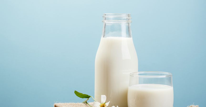  A glance at 3 NZX dairy stocks as dairy auction prices jump 4.1% 