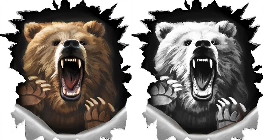  Is Crypto bear market coming to an end? What is the future for crypto? 