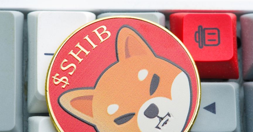  What’s behind Shiba Inu’s latest spike? More steam in memecoin’s rally? 