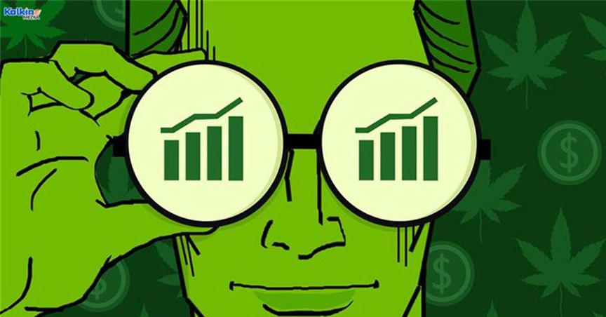 Tilray (TLRY) & Canopy (WEED): TSX pot stocks to take note of right now?