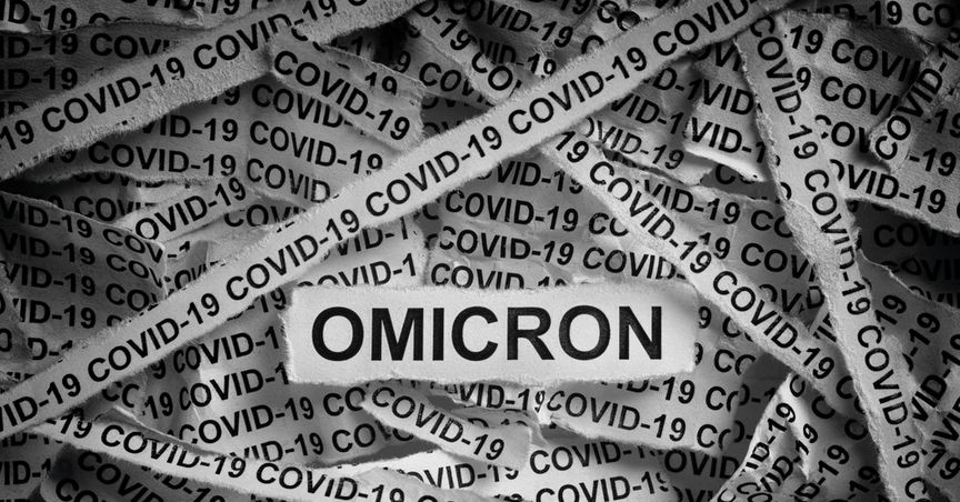  How is Mainfreight (NZX:MFT) coping with Omicron effects? 