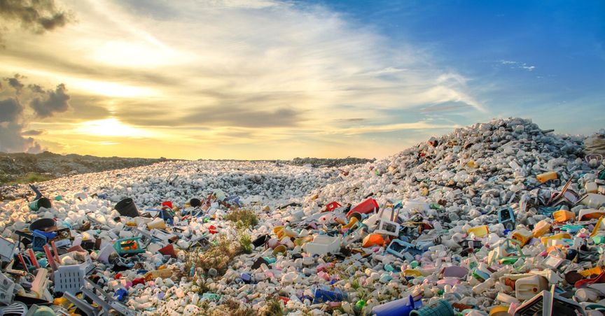  Plastic pollution: UN makes 'historic' move toward global pact 