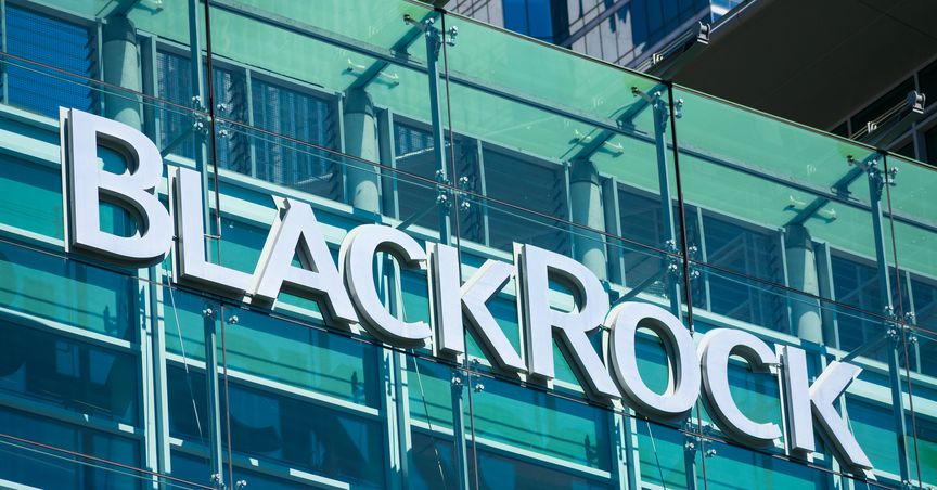  BlackRock (NYSE: BLK) Reports Robust Financial Performance for H1 2024 