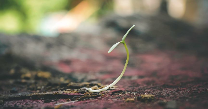 SSE, Shell, AstraZeneca: Growth stocks to look at if recession strikes