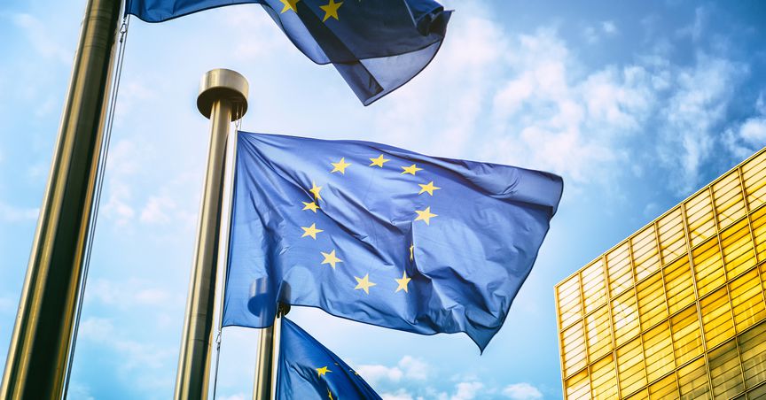  Why is Council of Europe calling for strict crypto regulation? 