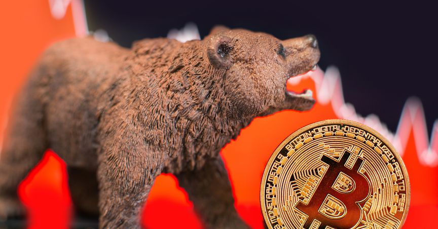  Bitcoin leads the market free-fall: Why are cryptos crashing? 