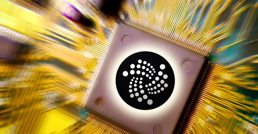  What is IOTA crypto and why is it rising amid crashing market? 