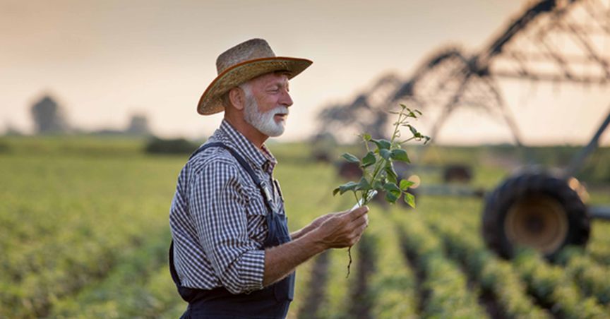 RLF AgTech (ASX:RLF) cashes in on high demand, wins contracts worth $1.2M