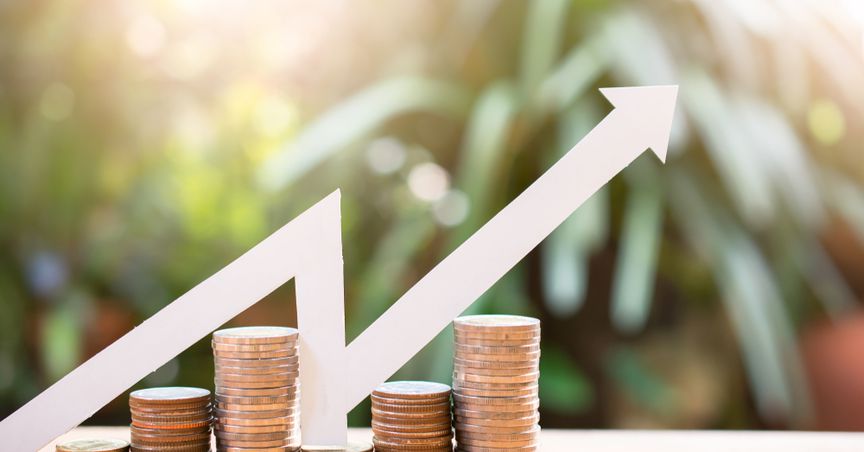TWR, MPG, TRU: 3 interesting penny stocks creating a buzz on NZX