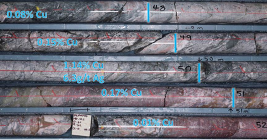  C29 Metals (ASX:C29) hits ‘promising’ skarn mineralisation at Reedy Creek 