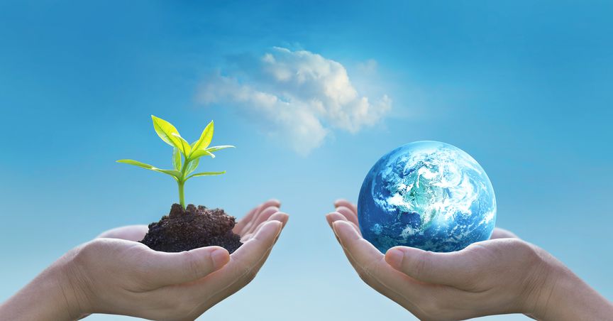  World Environment Day: Green investments that can earn you some green 