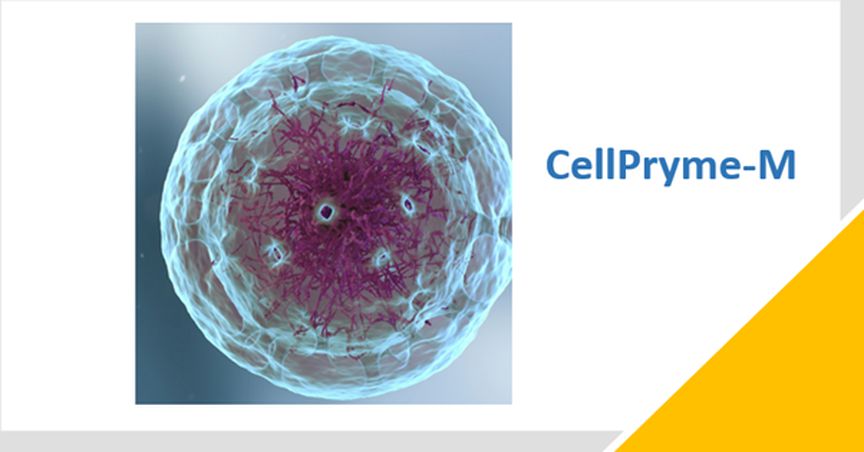  Prescient (ASX: PTX) rolls out new cell therapy platform, CellPryme-M 