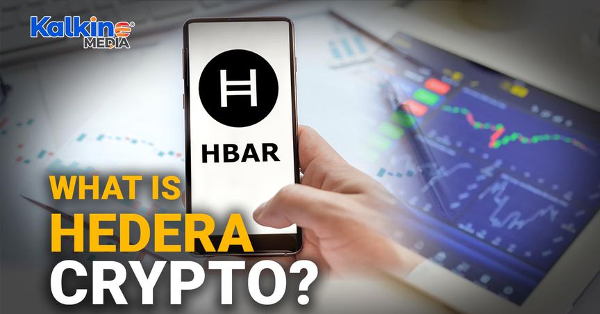 hedera crypto