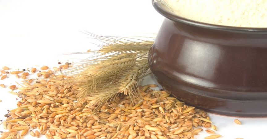  AAC, GNC, RIC: How are these ASX food stocks performing? 