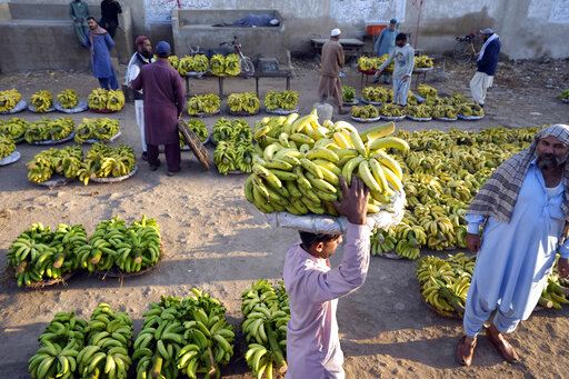 Pakistan Daily life