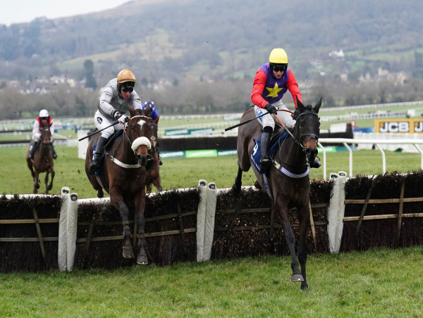  Gold Tweet hits the jackpot for France in Cleeve Hurdle 