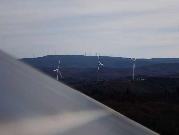 Portugal to speed up first offshore wind auction amid strong investor interest