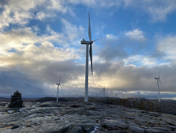 Thunberg og andre demonstranter blokkerer norsk energidepartement over vindparker