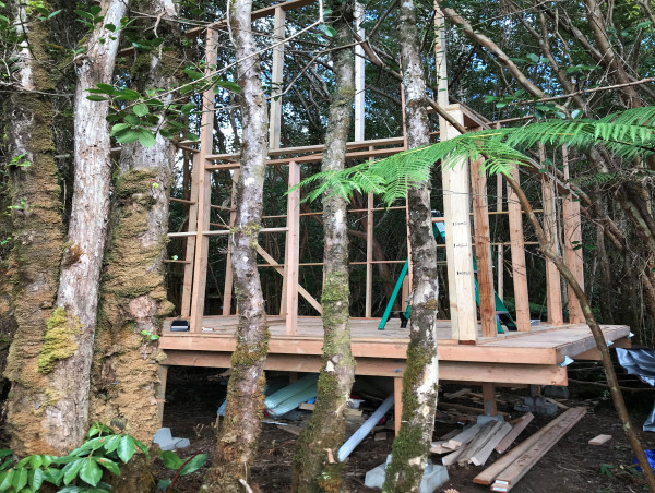  TikToker lives off grid in tree house he built himself using his content creation earnings after ditching job 