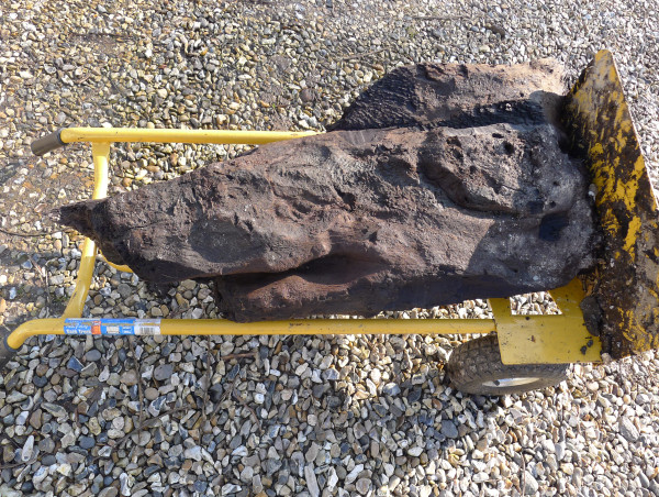  Timber recovered from trench believed to be oldest carved wood found in Britain 