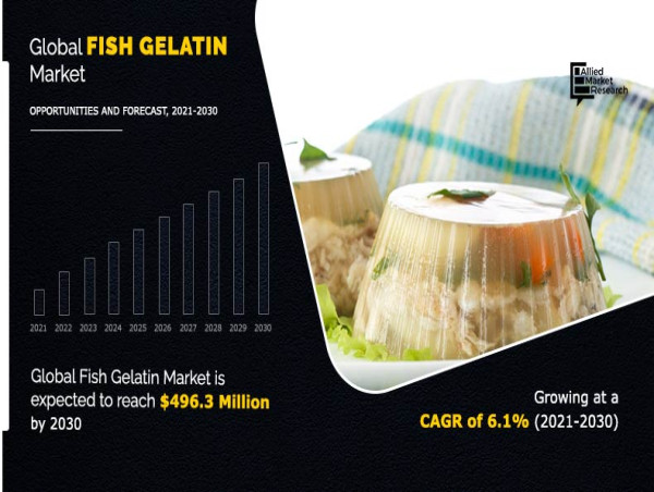  Fish Gelatin Market to catch Momentum by 2031 to Surpass $496.3 Million, CAGR to be 6.1% | Europe was dominant Region 