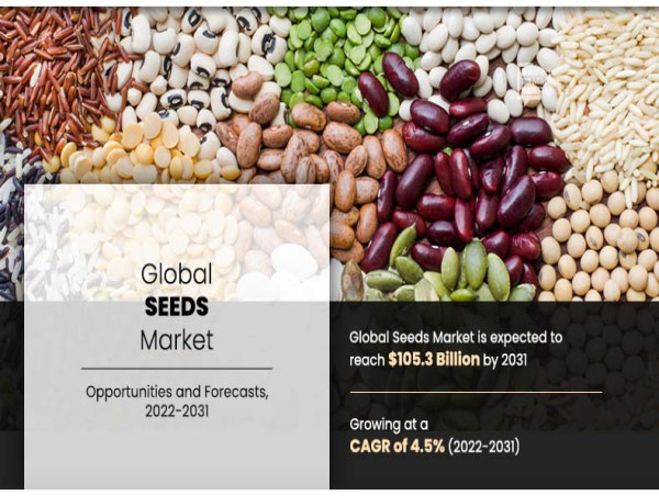  Seed Market Growth, Size, Share, Trends, Opportunities and Forecast to 2031 