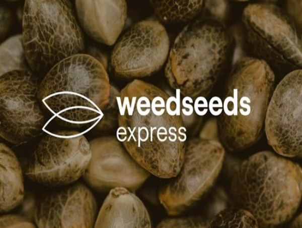 WeedSeedsExpress Launch Competition To Hire Cannabis Growers | Kalkine ...