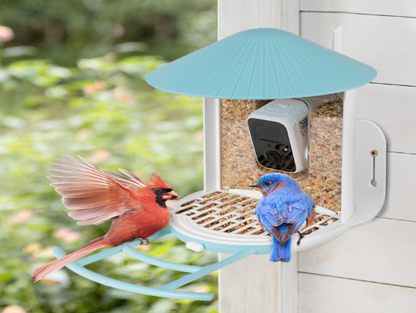 Introducing Birdfy Anti-scattering Cover: Enhancing Bird-Feeding ...