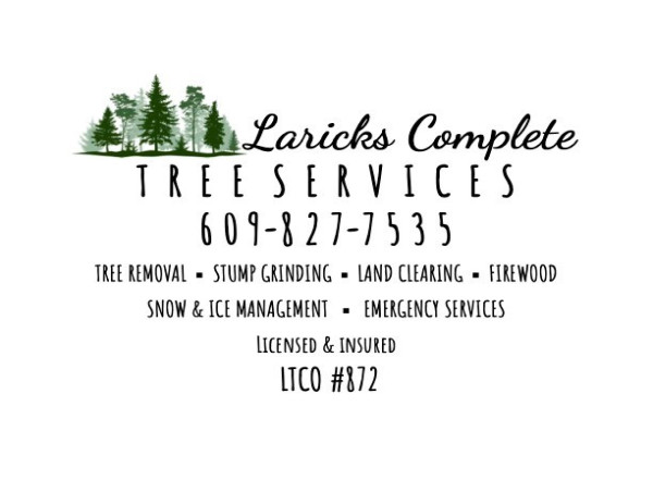 Transforming the Tree Care Landscape: How Tree Leads Today is Helping ...