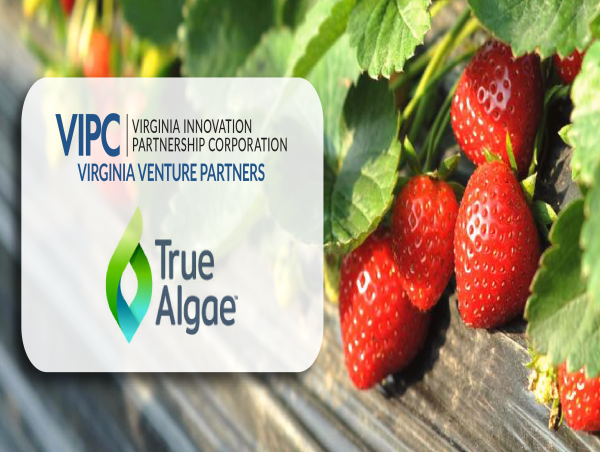 VIPC’s Virginia Venture Partners Invests In TrueAlgae For High ...