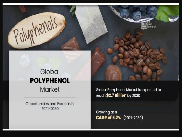  Polyphenol Market to Rise at an Impressive CAGR of 5.2% : Aquanova AG, Archer-Daniels-Midland Company, Botaniex 